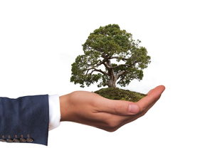 开云在线登入-社会环境参与研究，环境社会学议题