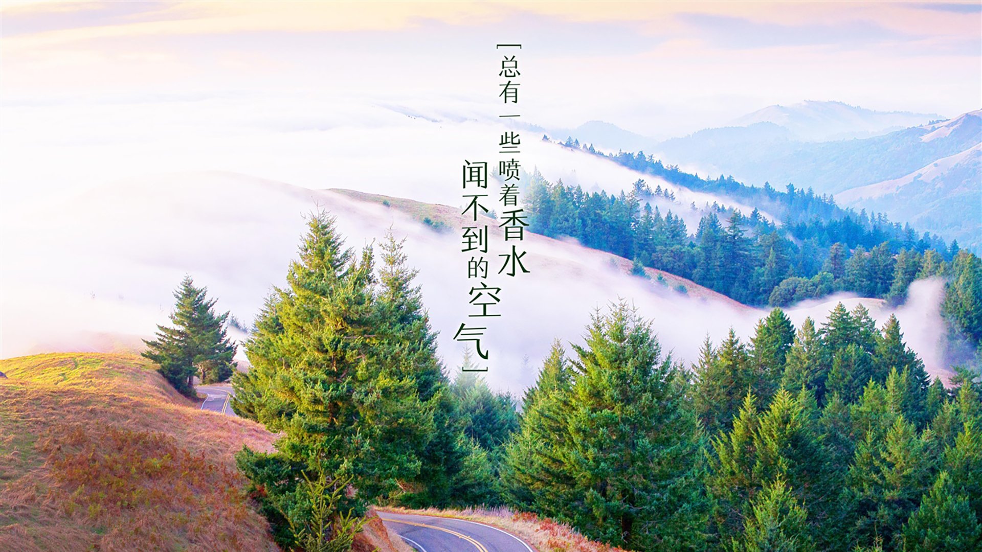 运动装备技术应用推广，运动装备的作用