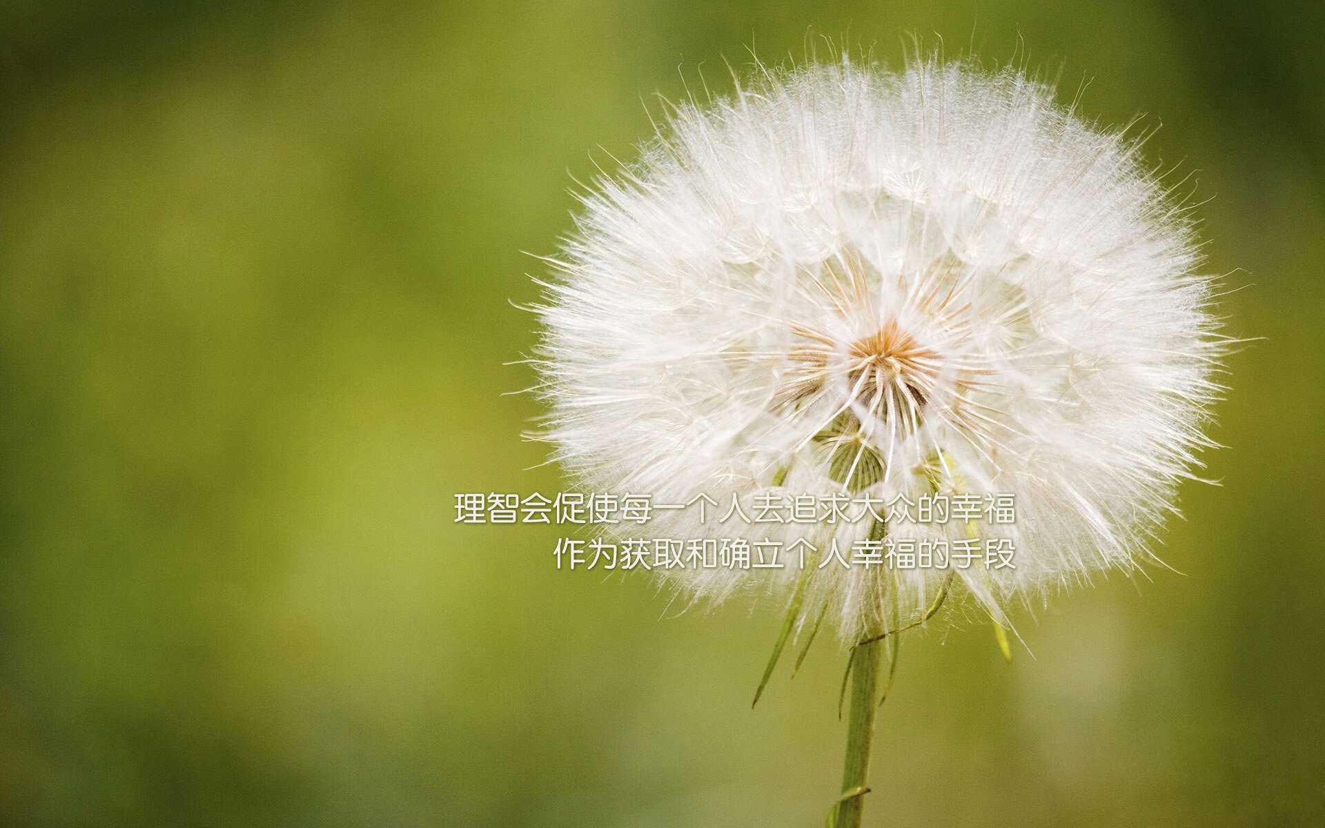 青少年体育竞赛组织管理方案，青少年体育竞训工作