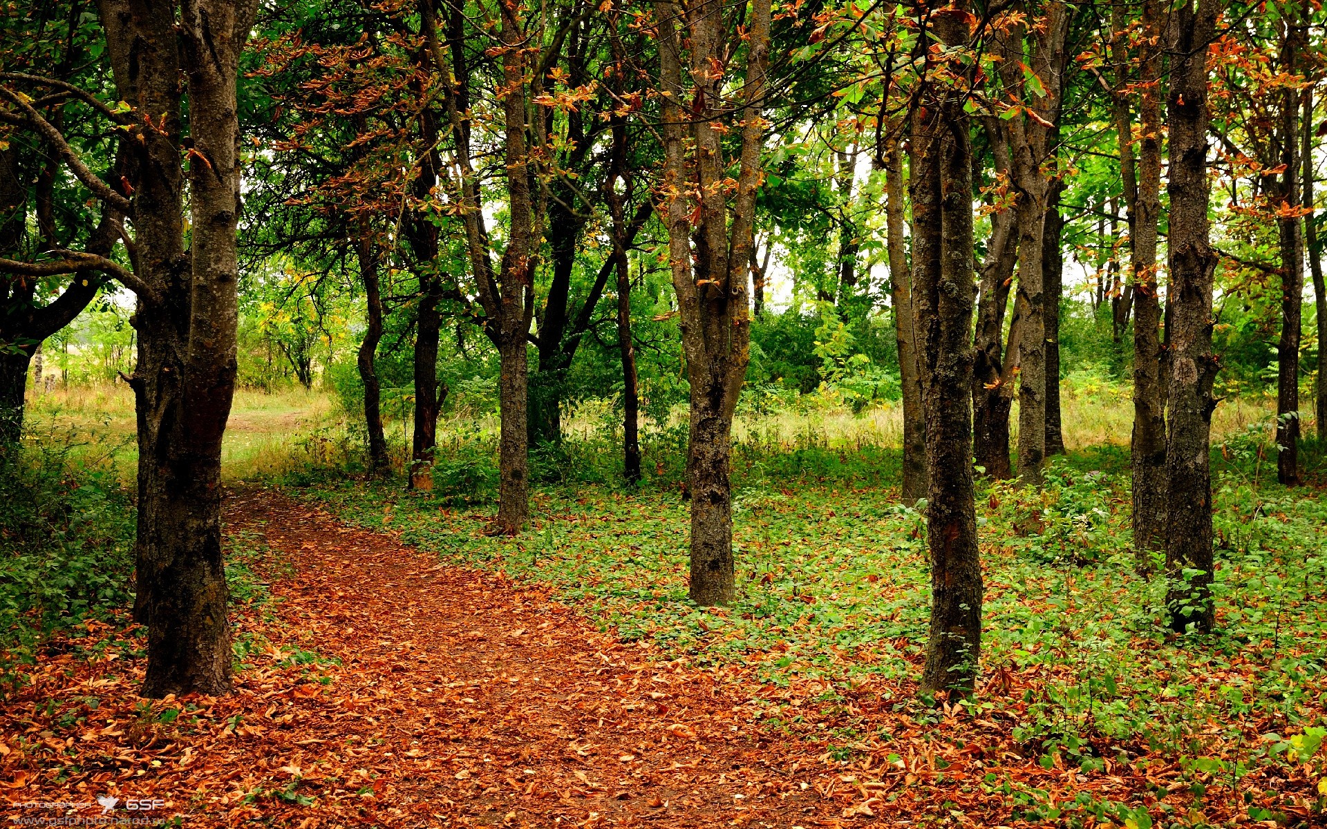 加拿大队未来规划：如何通过强化团队训练提升比赛稳定性