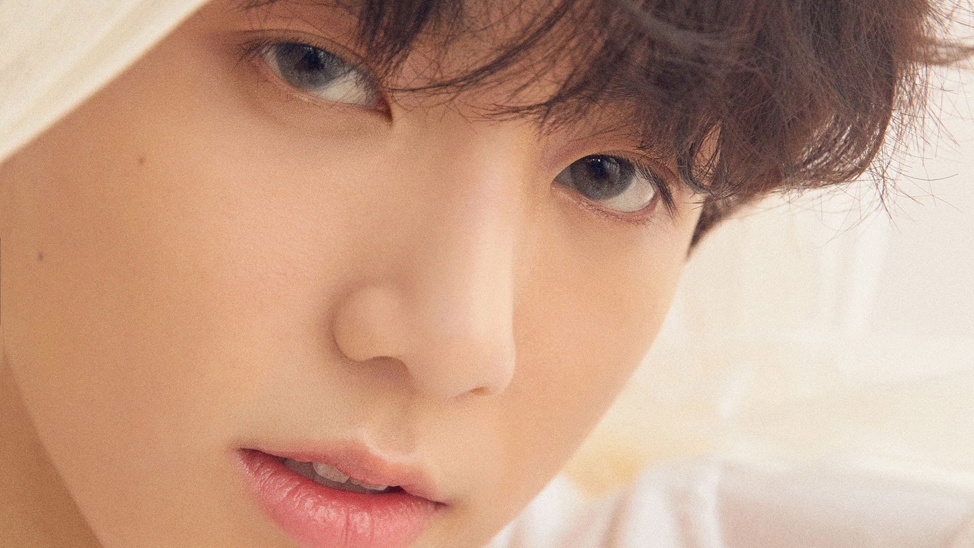 法甲新星崭露:未来领军人物!,法甲新logo